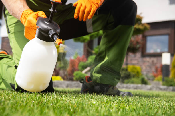 Best Local Pest Control Services  in Andalusia, IL