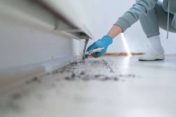 Best Cockroach Control Services  in Andalusia, IL