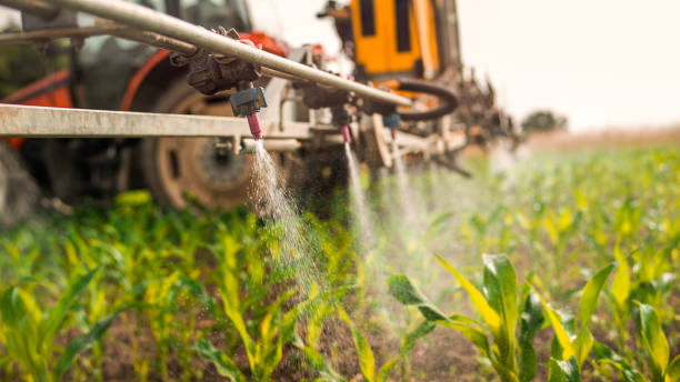 Reliable Andalusia, IL Pest Control Solutions